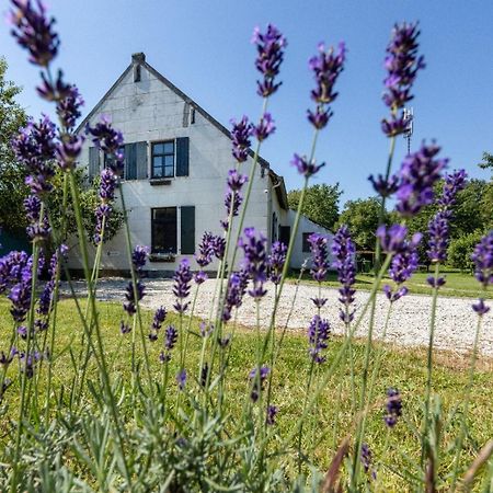B&B Op De Soursehof Baexem Eksteriør bilde