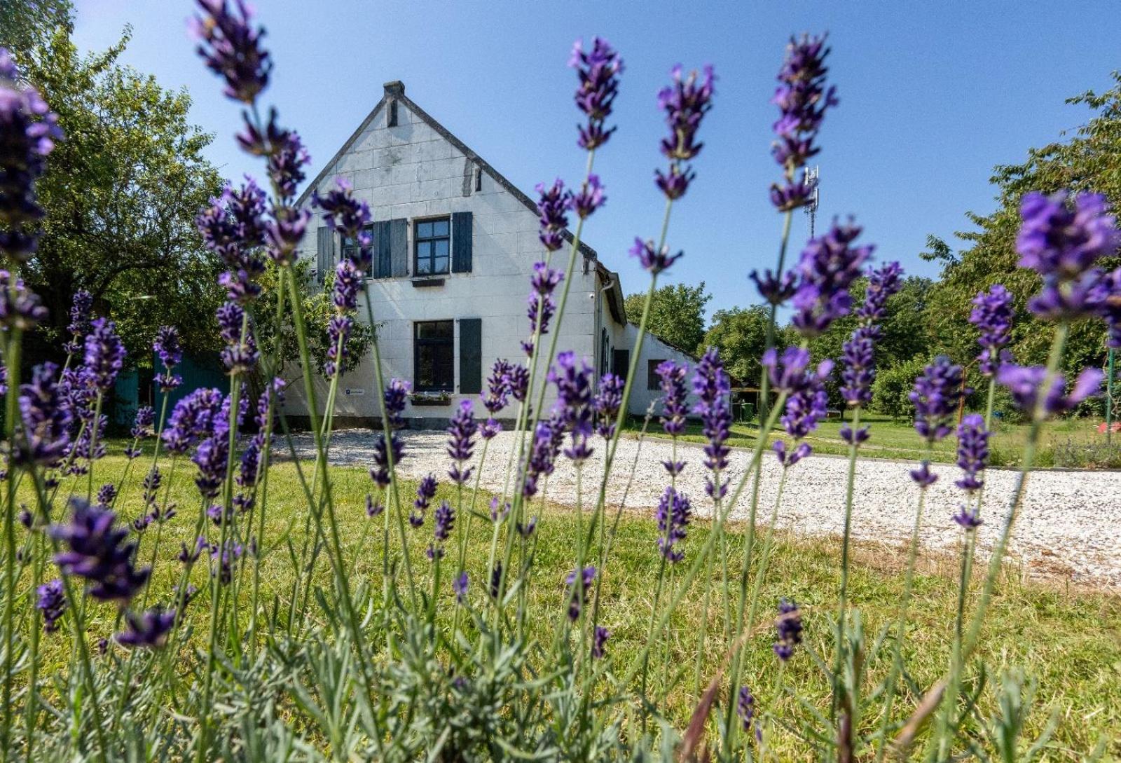 B&B Op De Soursehof Baexem Eksteriør bilde